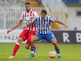 Propao dogovoren posao: Konja neće Majdevca