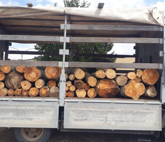 Evo koliko košta metar drva i tona peleta u Novom Pazaru