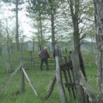 Krvavi obračun u Sandžaku zbog međe, dva lica teško povrijeđena