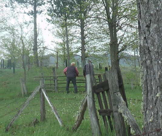 Krvavi obračun u Sandžaku zbog međe, dva lica teško povrijeđena