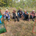 Medvjed teroriše novopazarska sela – Mještani uplašeni za djecu (VIDEO)