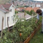 Novopazarac se na krovu zgrade bavi urbanim baštovanstvom
