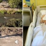 UZNEMIRENI NOVOPAZARAC: ”Dok je moj otac gledao kako siječete drveća na keju koje je on zasadio doživio je moždani udar”