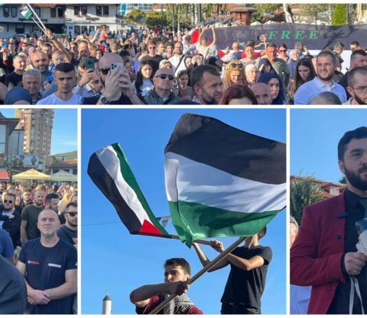 Protest u Novom Pazaru – STOP RATU U PALESTINI (VIDEO)