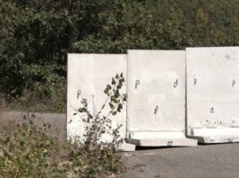 Prokopali put koji vodi ka Novom Pazaru i postavili velike betonske ploče