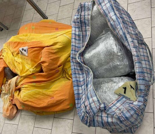 Podignuta optužnica, prenosili 18 kila marihuane iz Novog Pazara u Beograd