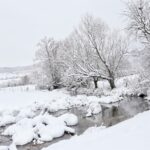 Možda je temperatura sibirska, ali život na Pešteri zimi je poseban /VIDEO/