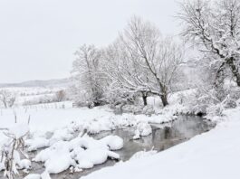 Možda je temperatura sibirska, ali život na Pešteri zimi je poseban /VIDEO/