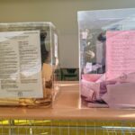 Do 10 sati u Novom Pazaru glasalo 10 odsto birača