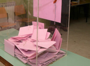 U NP do 18 časova glasalo 51 odsto birača, u Sjenici i Tutinu više od 30 odsto