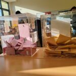 SPP od GIK-a zahtjeva ponavljanje izbora u Novom Pazaru