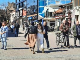 Demograf: Novi Pazar raste zahvaljujući pozitivnom priraštaju, a ne doseljavanju