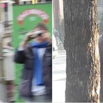 Novi Pazar: Prijava zbog prijetnji i vrijeđanja na vjerskoj i nacionalnoj osnovi