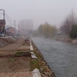 Negodovanje građana zbog sječe vrba