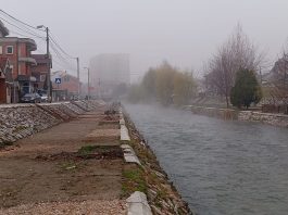 Negodovanje građana zbog sječe vrba