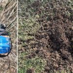 Izbegnuta tragedija u selu Suhi Do – Djeca pronašla bombu, a potom se igrala sa njom