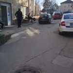 Novi Pazar – Psi lutalice napali djecu, dvoje teško povrijeđeno