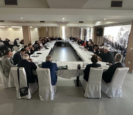 Međurodni simpozijum o rekonstrukciji Hadži-Danušine džamije u Bijelom Polju