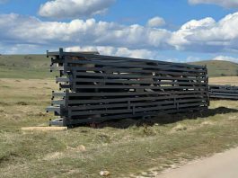 SDA nastavlja sa rasprodajom placeva na Pešteri