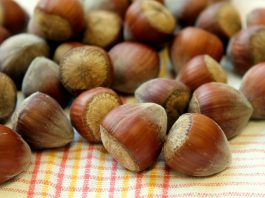 Uskoro objekat za skladištenje lešnika u Novom Pazaru