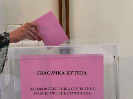 Izlaznost u Sjenici do 18 časova 40%, u Tutinu 39,6%