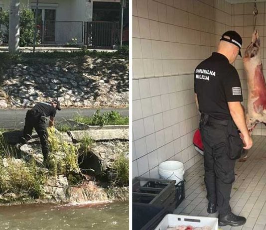 Akcija komunalne milicije u Novom Pazaru: Zaustavljeno ispuštanje krvi u rijeku Rašku