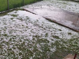 Katastrofa nakon oluje u Priboju i Prijepolju: Ledenice bile veće od jajeta, grad tukao sve, građani očajni