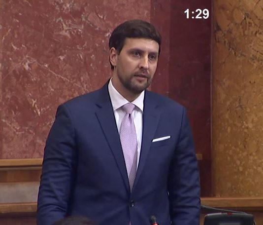 Đerlek u Skupštni Srbije: U Srebrenici je počinjen genocid