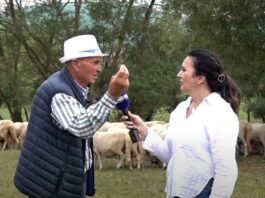 SUŠA NAPRAVILA HAOS: Malo vjetra i kiša vratili bi Pešter u život