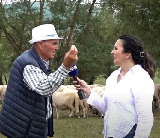 SUŠA NAPRAVILA HAOS: Malo vjetra i kiša vratili bi Pešter u život