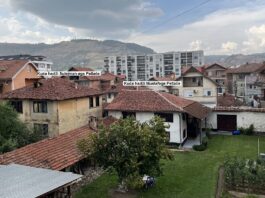 Orijentalno-bošnjačke kuće hadži Sulejmana i hadži Mustafe Petlače u Novom Pazaru
