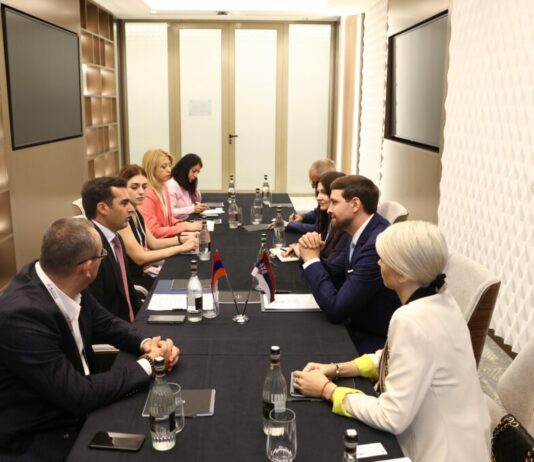 Potpredsjednik Đerlek na čelu delegacije Srbije u Jermeniji