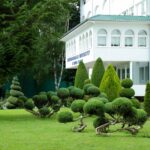 REKORDAN BROJ STUDENATA – Na UNINP-u svečana dodjela indeksa u utorak, 1. oktobra