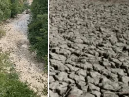 Ekološka katastrofa kod Dračenovca – IBAR PRESUŠIO?!