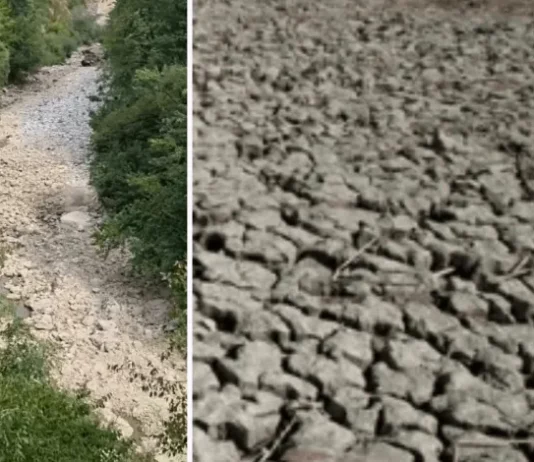 Ekološka katastrofa kod Dračenovca – IBAR PRESUŠIO?!