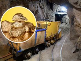 Milijarde u pitanju: Australijanci otkrili još jedno značajno nalazište zlata na Rogozni