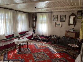 Orijentalno-bošnjačka kuća familije Bošnjović u Novom Pazaru