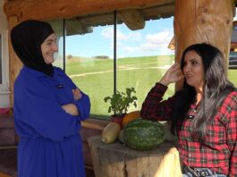 I to je moguće – Lubenice rodile u Žitniću (VIDEO)