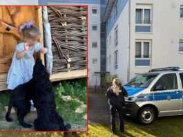 Tragedija u Lajpcigu: Djevojčica iz Tutina preminula nakon napada starije sestre