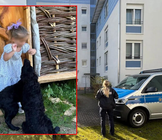 Tragedija u Lajpcigu: Djevojčica iz Tutina preminula nakon napada starije sestre