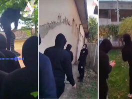 Torcida objavila snimak – Uhapšeni su navijači koji nisu imali fizički kontakt s policijom (VIDEO)