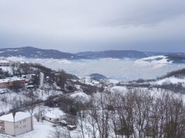 Đorđević: Rudarenje na Rogozni ugroziće zdravlje ljudi