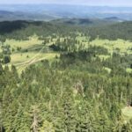 Vlada Srbije proglasila novi Specijalni rezervat prirode “Mojstirsko-Draške planine”