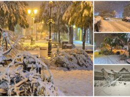 Oštećena stabla i zatrpane ulice: Snijeg iznenadio novopazarske putare