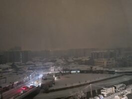 Elektrodistribucija NP: Nakon 48 sati bez struje sanirana većina kvarova