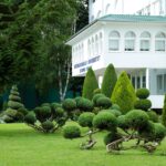 Univerzitet u Novom Pazaru dobio reakreditaciju za naučnoistraživačku djelatnost