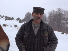 Poklanja zemlju na Goliji uz samo jedan uslov – Netaknuta priroda čeka vlasnika