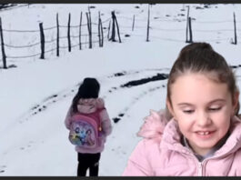 SANDŽAK: Mala Hana jedina učenica, a učitelj Rifat Beganović nosi teret velike brige (VIDEO)