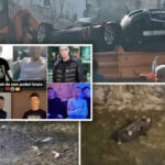 Rožaje: Deset mladih života ugašeno u saobraćajnim nesrećama u posljednje dvije godine (VIDEO)