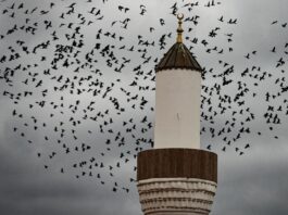 Večeras zalaskom sunca počinje ramazan, klanja se prva teravija